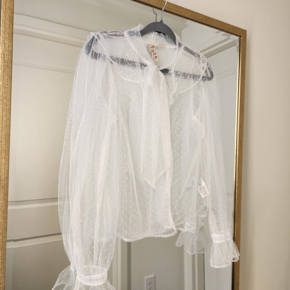 Anthropologie Sheer Tie-Neck Blouse - Picture 2 of 4